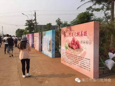 海口市旅行社協(xié)會組織近30家旅行社走進澄邁踩線