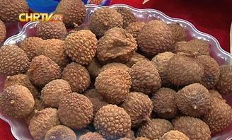 廣州農博會開幕,我區(qū)農產品實力 圈粉