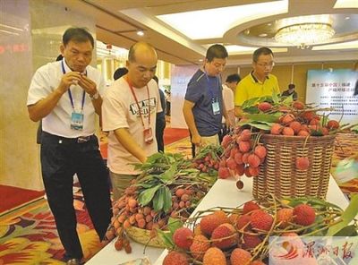 正是荔枝龍眼飄香時 中國(福建)荔枝龍眼產(chǎn)銷對接會在莆舉行