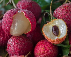 安心直采增城仙進(jìn)奉荔枝 品味無(wú)核香甜的盛夏佳果