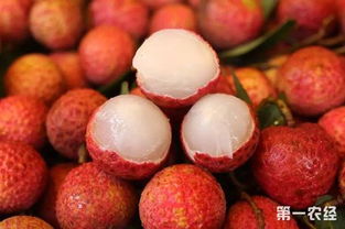 早熟無(wú)核荔枝搶占市場(chǎng)先機(jī)，海南特色水果再創(chuàng)佳績(jī)